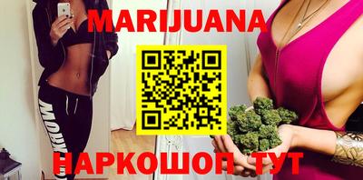 сатива Будённовск