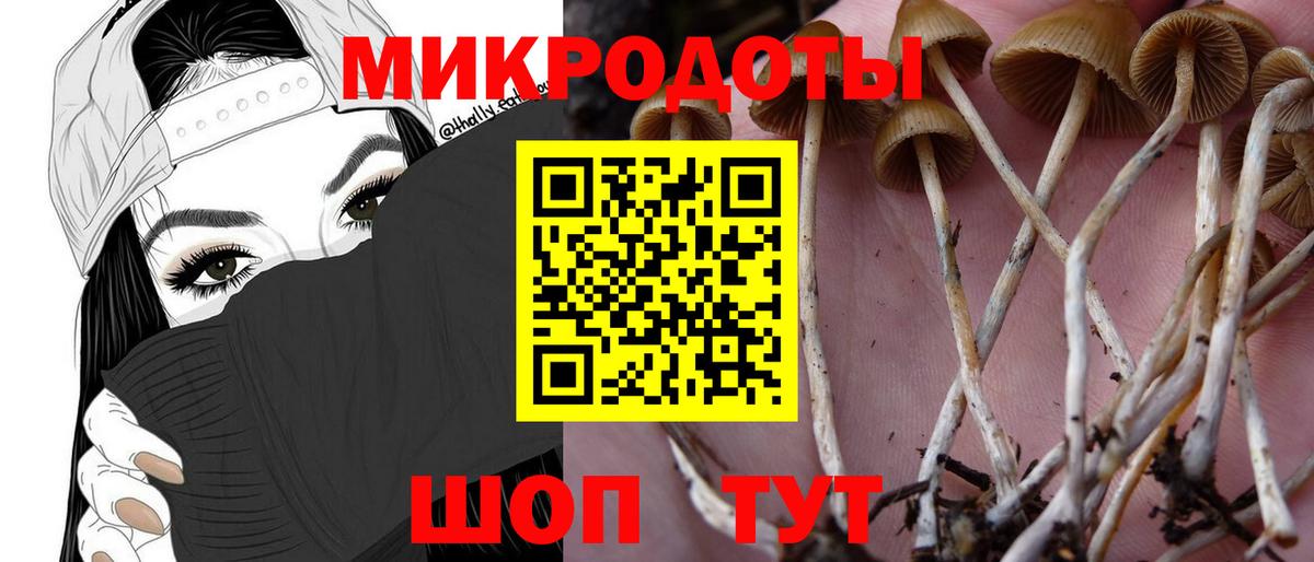 Щёлково  Псилоцибиновые грибы Psilocybe  Вход с VPN  Псилоцибиновые грибы GOLDEN TEACHER 