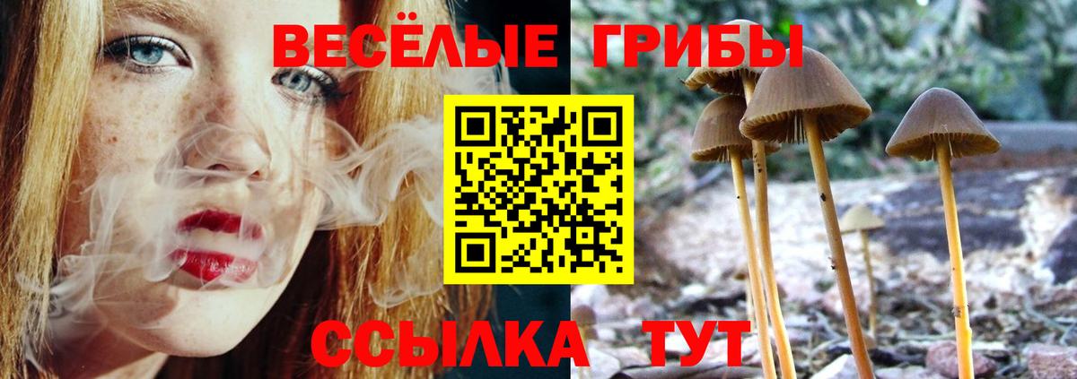 Галлюциногенные грибы MAGIC MUSHROOMS Щёлково